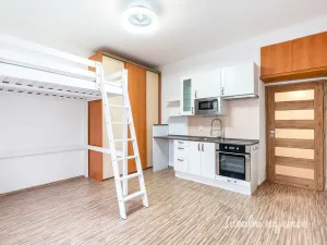 Pronájem bytu 1+kk, Praha - Střešovice, Na Malovance, 25 m2