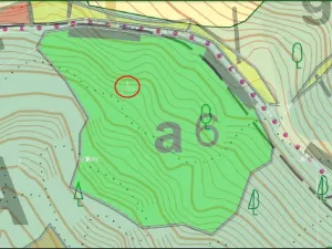 Prodej lesa, Brumov-Bylnice, 10951 m2