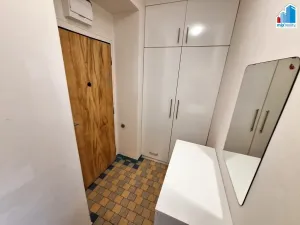 Pronájem bytu 1+kk, Plzeň - Jižní Předměstí, Raisova, 29 m2