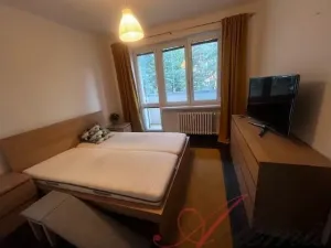 Pronájem bytu 2+kk, Ostrava - Poruba, Rabasova, 56 m2