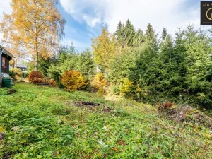 Prodej chalupy, Josefův Důl - Karlov, 132 m2