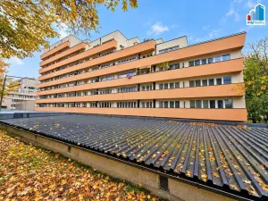 Prodej bytu 2+kk, Plzeň - Východní Předměstí, Guldenerova, 39 m2