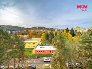 Prodej bytu 2+1, Karlovy Vary - Drahovice, Východní, 60 m2