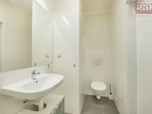 Pronájem bytu 1+kk, Praha, Peroutkova, 25 m2