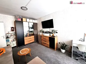 Prodej bytu 2+kk, Ústí nad Labem - Ústí nad Labem-centrum, Stará, 44 m2