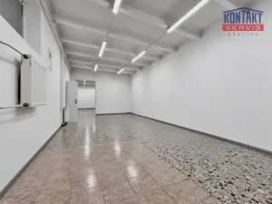 Pronájem obchodního prostoru, České Budějovice, Lannova tř., 212 m2