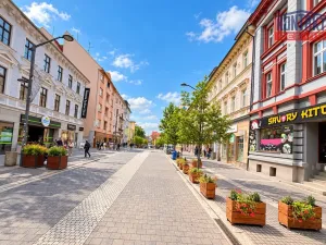 Pronájem obchodního prostoru, České Budějovice, Lannova tř., 212 m2