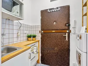 Pronájem bytu 1+kk, Praha - Vinohrady, V Horní Stromce, 22 m2