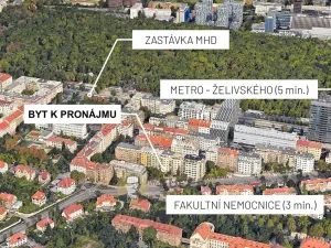 Pronájem bytu 1+kk, Praha - Vinohrady, V Horní Stromce, 22 m2