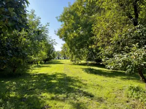 Prodej rodinného domu, Olešnice, 80 m2