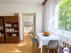 Prodej bytu 1+kk, Praha, Benkova, 33 m2