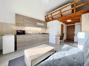 Pronájem bytu 1+kk, Praha - Smíchov, Lidická, 24 m2