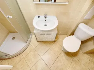 Pronájem bytu 1+kk, Praha - Smíchov, Lidická, 24 m2