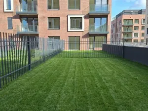 Pronájem bytu 2+kk, Praha - Karlín, Švarcova, 57 m2