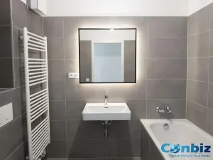 Pronájem bytu 2+kk, Praha - Karlín, Švarcova, 57 m2