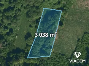 Prodej podílu lesa, Jablůnka, 911 m2