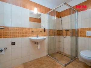 Prodej činžovního domu, Nehvizdy, Pražská, 300 m2