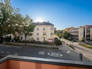 Prodej bytu 1+1, Brno, Došlíkova, 52 m2