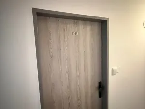Prodej bytu 1+kk, Plzeň, Rokycanská, 27 m2