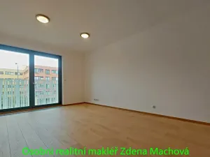 Pronájem bytu 1+kk, Praha - Žižkov, Olšanská, 33 m2