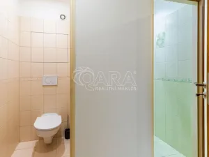Pronájem bytu 2+kk, Praha - Háje, Plickova, 42 m2