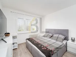 Prodej bytu 2+1, Hodonín, Družstevní čtvrť, 55 m2