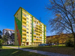 Prodej bytu 2+1, Hodonín, Družstevní čtvrť, 55 m2