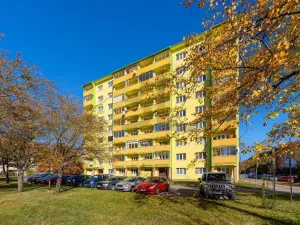 Prodej bytu 2+1, Hodonín, Družstevní čtvrť, 55 m2
