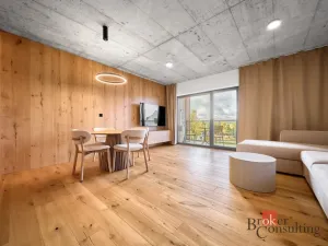 Prodej bytu 2+kk, Boží Dar, 60 m2