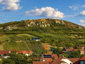 Prodej ubytování, Bavory, 289 m2