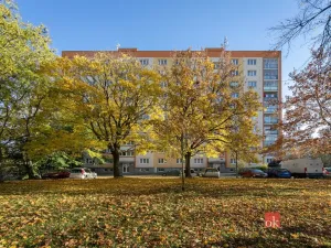 Prodej bytu 1+kk, Plzeň - Východní Předměstí, náměstí Generála Píky, 21 m2