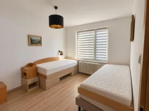 Pronájem bytu 2+1, Dolní Poustevna, Vilémovská, 58 m2
