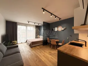 Pronájem bytu 1+kk, Praha - Karlín, Křižíkova, 33 m2