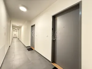 Pronájem bytu 1+kk, Praha - Karlín, Křižíkova, 33 m2