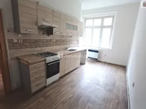 Pronájem bytu 1+1, Děčín - Děčín XI-Horní Žleb, Labské nábř., 49 m2