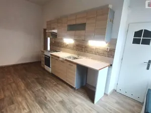 Pronájem bytu 1+1, Děčín - Děčín XI-Horní Žleb, Labské nábř., 49 m2