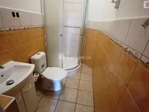 Pronájem bytu 1+1, Děčín - Děčín XI-Horní Žleb, Labské nábř., 49 m2