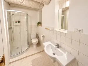 Pronájem bytu 1+kk, Praha - Žižkov, Biskupcova, 47 m2