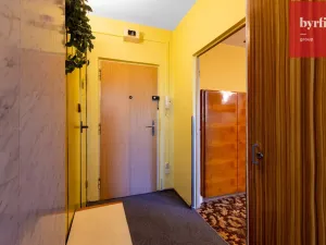 Prodej bytu 1+1, Litovel, Novosady, 30 m2
