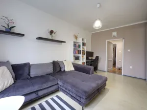 Prodej bytu 3+1, Planá, Fučíkova, 63 m2