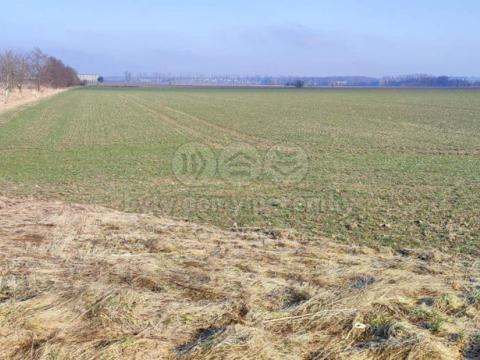 Prodej zemědělské půdy, Dolní Benešov, 6438 m2