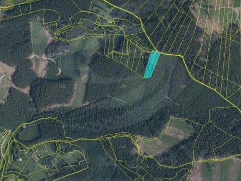 Prodej lesa, Valašská Bystřice, 3970 m2