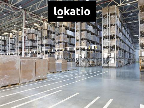 Pronájem skladu, Ústí nad Labem - Všebořice, 24000 m2