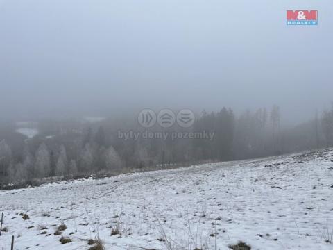 Prodej lesa, Železný Brod, 8638 m2