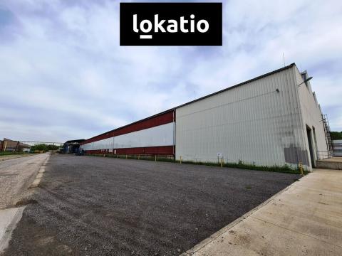 Pronájem výrobních prostor, Ostrava, Lihovarská, 1700 m2