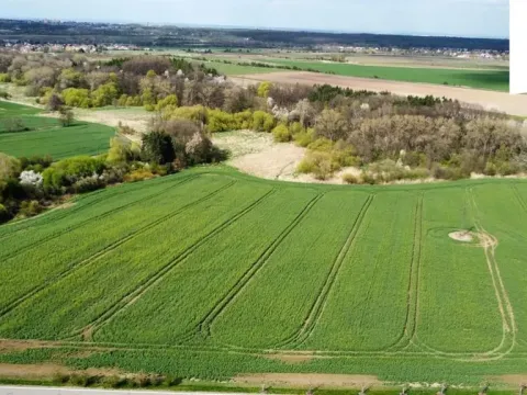 Prodej zemědělské půdy, Praha - Michle, 36799 m2