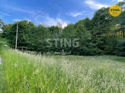 Prodej trvalého travního porostu, Třinec - Oldřichovice, 7467 m2