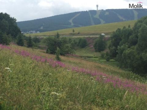 Prodej pozemku pro komerční výstavbu, Loučná pod Klínovcem - Háj, Loučná pod Klínovcem, 15157 m2