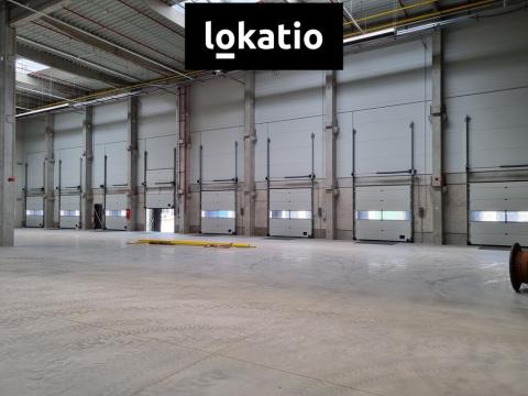 Pronájem skladu, Pardubice, 2700 m2