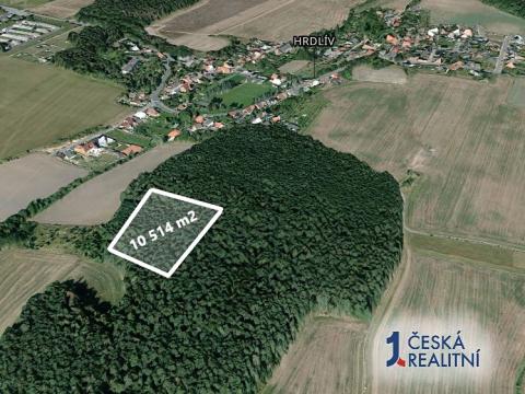 Prodej podílu lesa, Hrdlív, 1051 m2